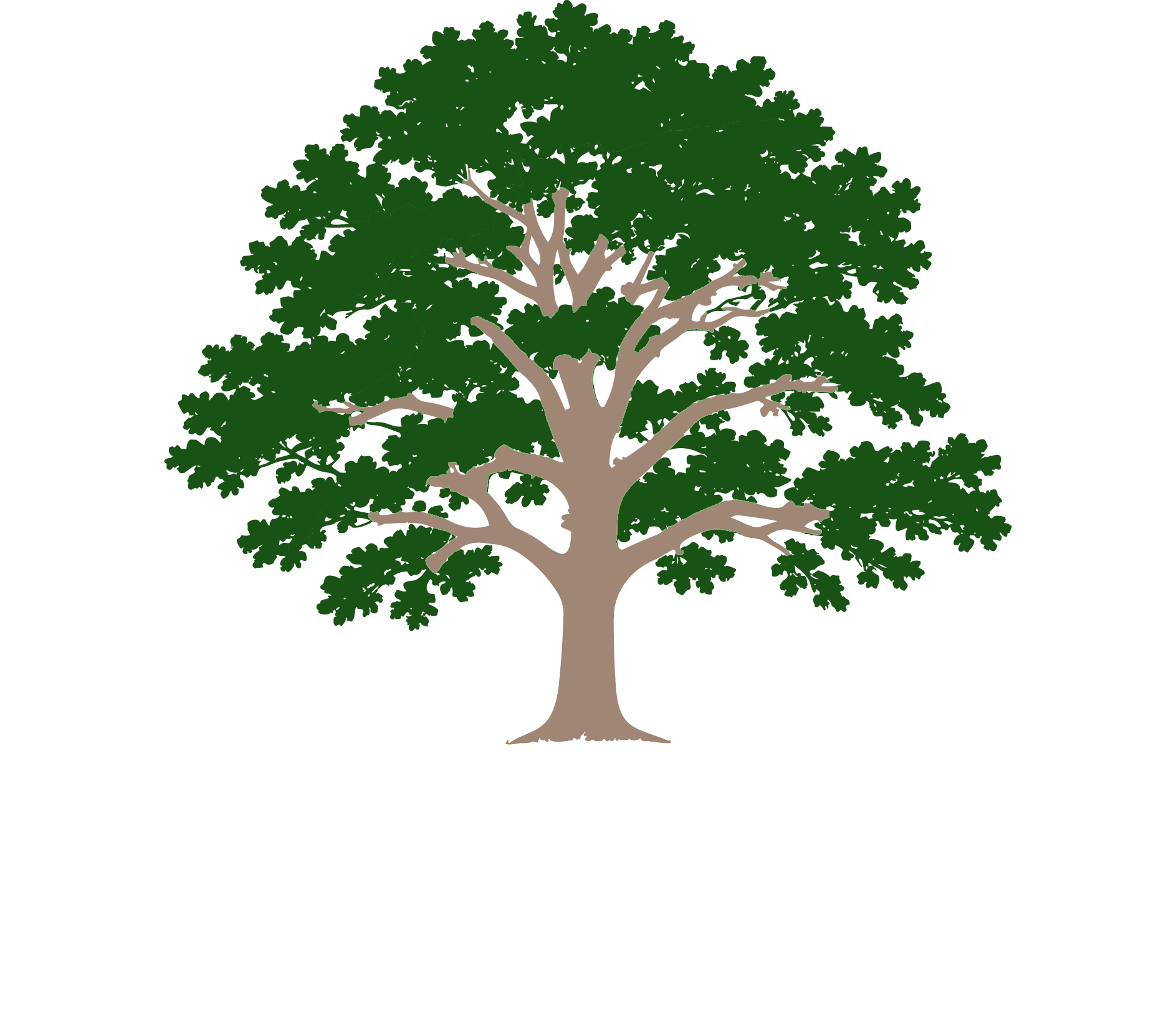 LaFave Tree Services